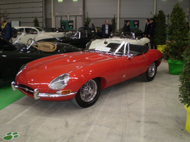 p3150833.jpg